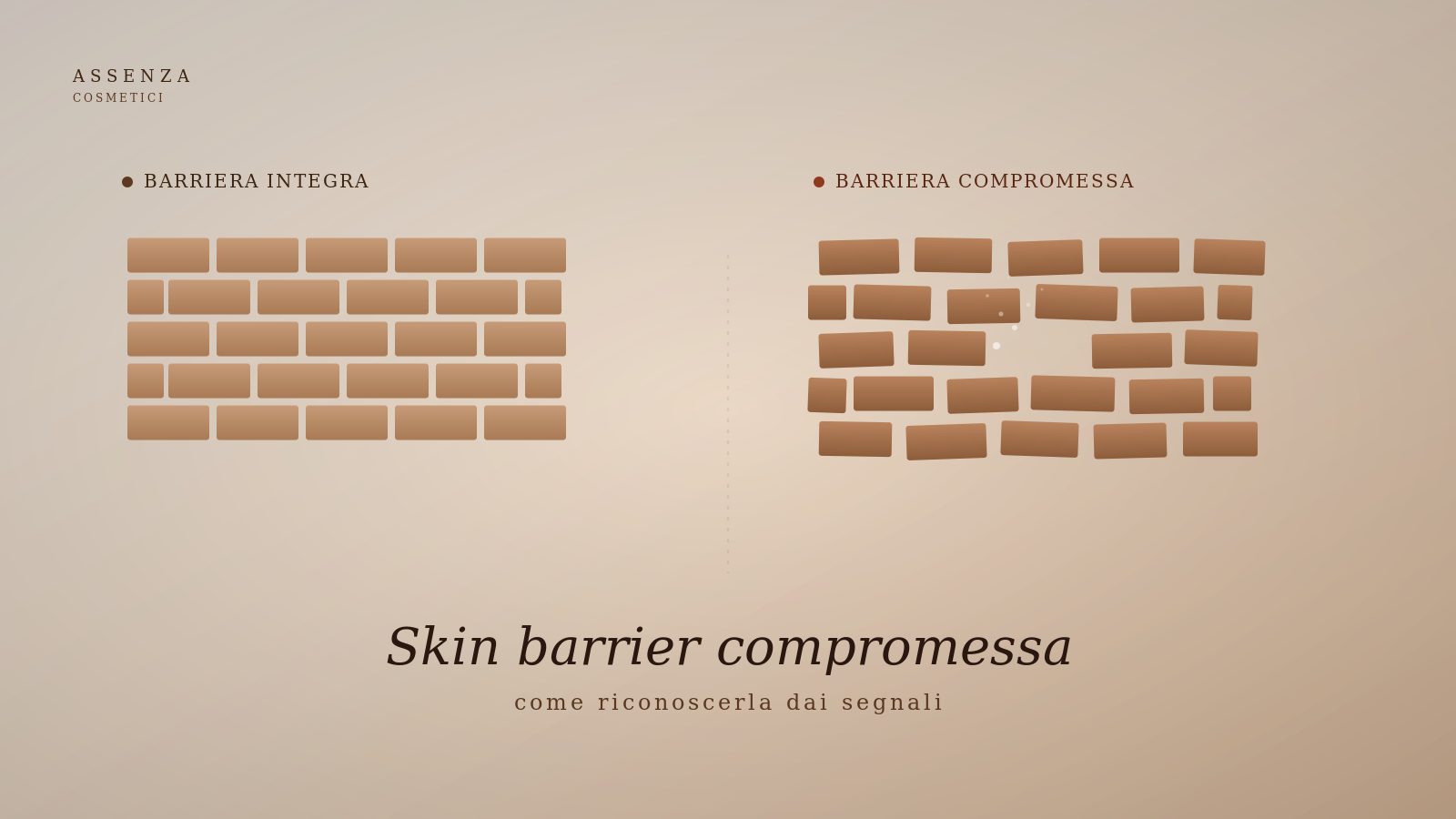 Rappresentazione schematica della barriera cutanea integra e compromessa secondo il modello mattoni e malta