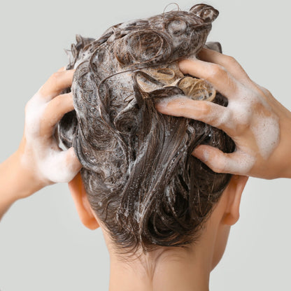 Shampoo Colore Color Lock 250ml